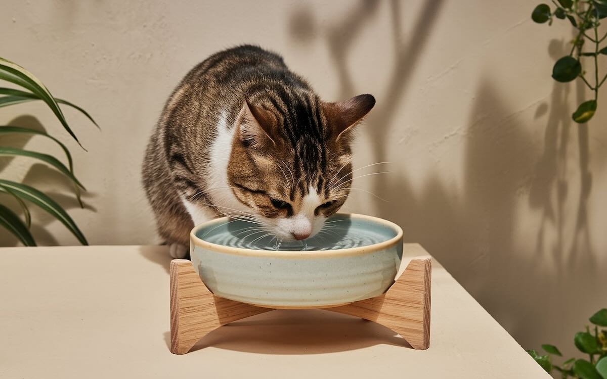 Gallery image with a fresh perspective